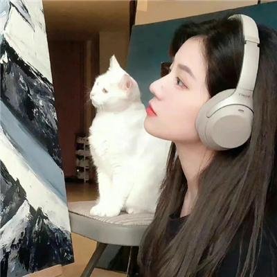 白菜汤