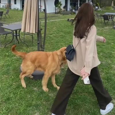 丛林求生